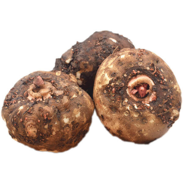 Konjac Processing Machine